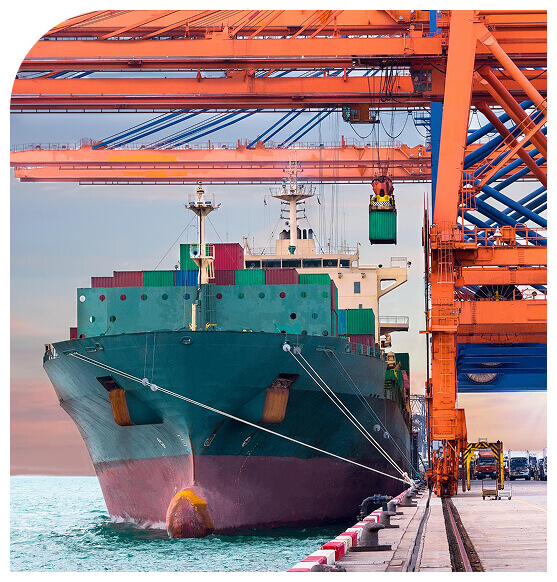 Abundantia Export
